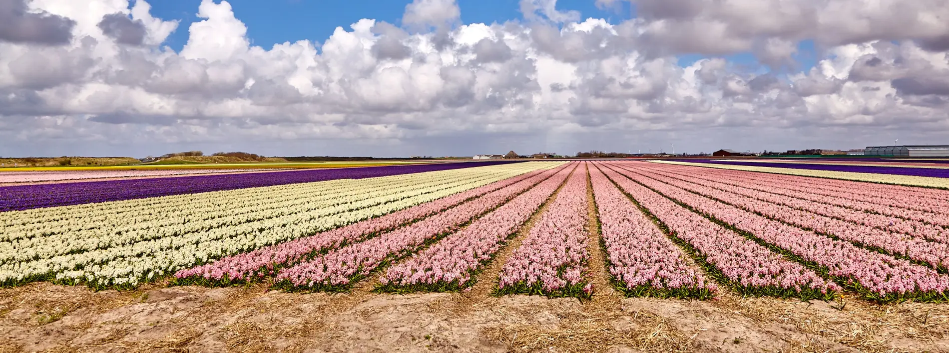 landbouwportaal noord-holland banner